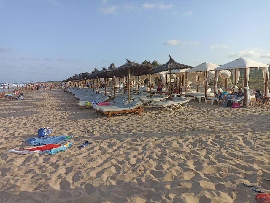 Bungalow En Primera Linea Del Mar อาเรนาเลส เดล ซอล ภายนอก รูปภาพ